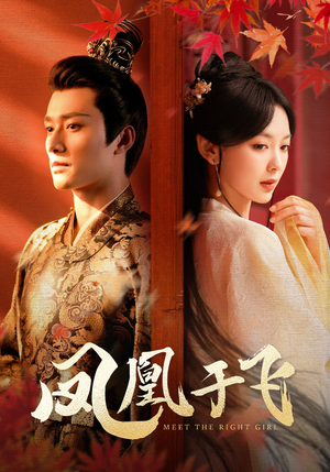 凤凰于飞（79集）热门短剧来袭