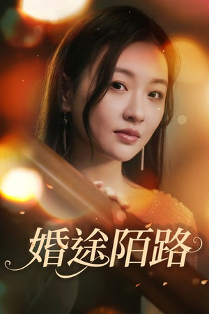 婚途陌路(15集) 婚途陌路(15集)精彩短剧天天看