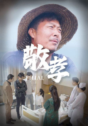 敬孝（61集）我全都看完了