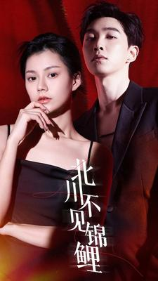 北川不见锦鲤（72集）追短剧关注我