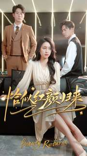 恰似红颜归来（79集）免费观看