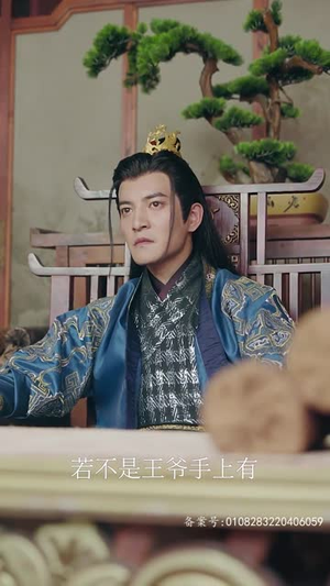 王行天下（100集）推荐热门短剧