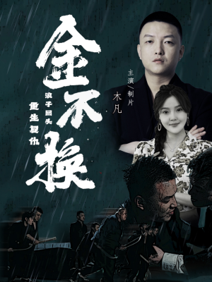 金不换（32集）在线看