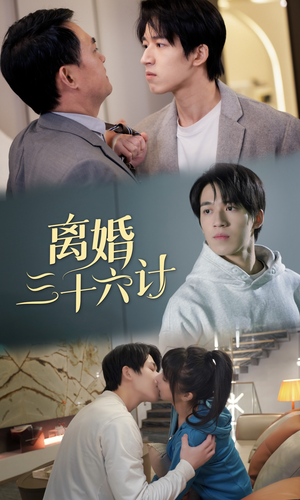 离婚三十六计（96集）最新短剧推荐