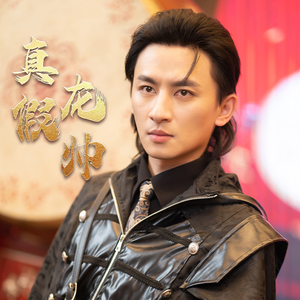 真假龙帅（81集）免费观看完整版