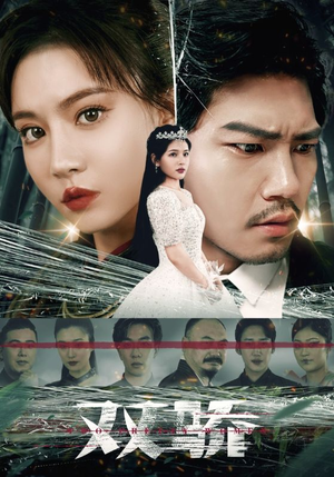 双骄（66集）海量资源免费看