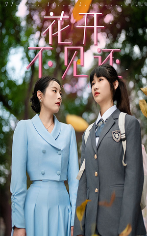 花开不见还（30集）短剧追到爽
