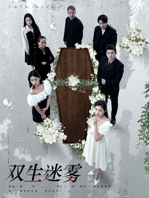 双生迷雾（80集）红果免费短剧