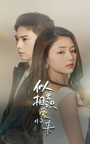 似曾相识爱归来（77集）百度网盘资源