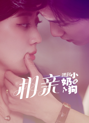 相亲遇到小奶狗（80集）短剧精彩片段