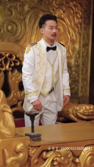 豪霸天下（100集）短剧太精彩了