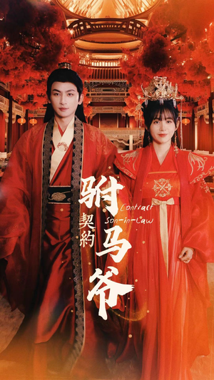 契约驸马爷（74集）在线免费观看