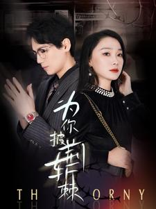 为你披荆斩棘（90集）最后的大结局