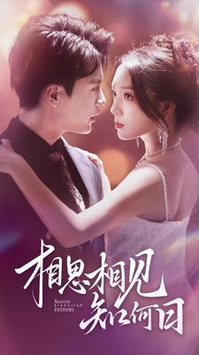 相思相见知何日（81集）短剧上头又好看