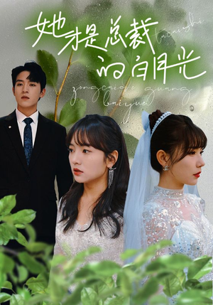 她才是总裁的白月光（90集）精彩短剧看全集