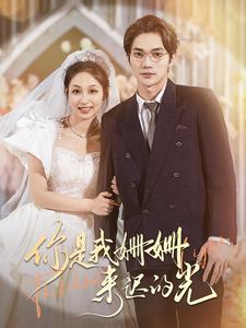 你是我姗姗来迟的光（99集）短剧全集完整版