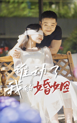 谁动了我的婚姻（24集）好看的短剧电影