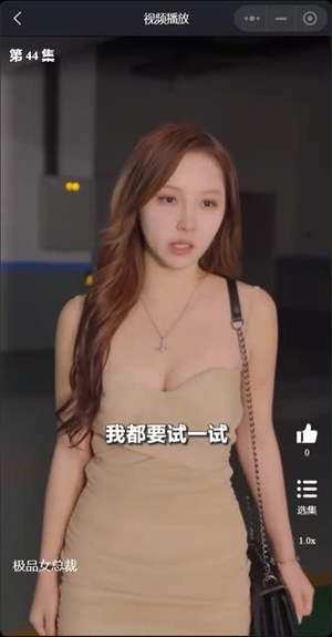 我的富豪美女总裁（我的极品女总裁）高清画质免费看