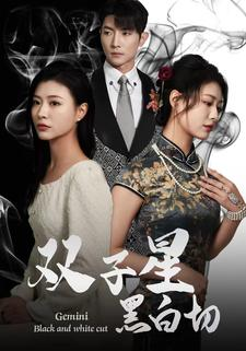 双子星黑白切（82集）红果短剧免费看
