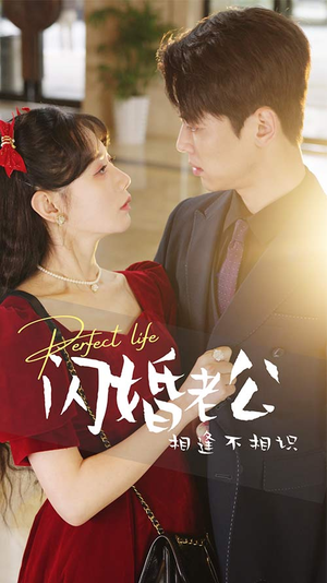 闪婚老公相逢不相识（90集）超级好看的短剧