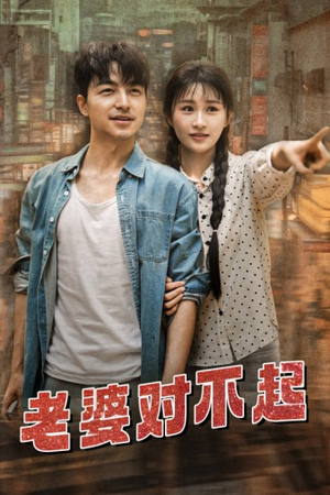 老婆对不起（81集）高清无码免费看