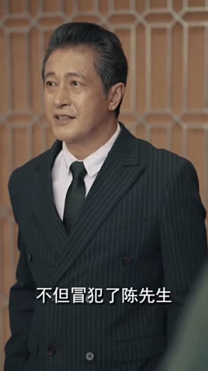 重生后我在商界席卷风云（100集）温柔追捕短剧