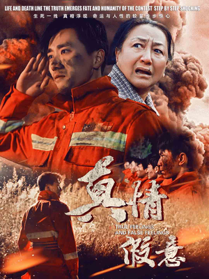 29.真情假意（62集）每日分享短剧