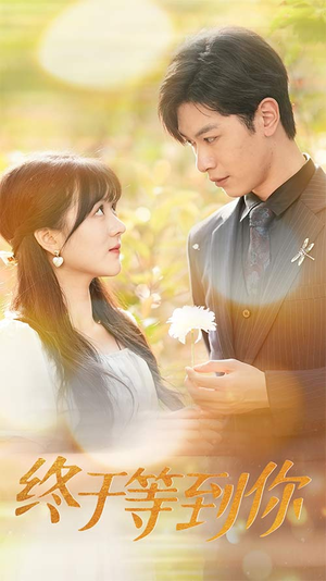 终于等到你（80集）最新热门短剧