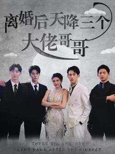 离婚后天降三个大佬哥哥（83集）最火爆的短剧