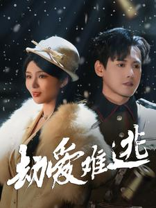 24.劫爱难逃（30集）360网盘观看