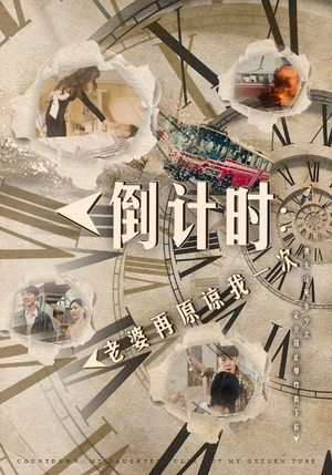 倒计时：老婆再原谅我一次（100集）番茄短剧看全集