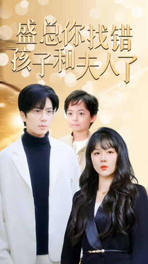 盛总你找错孩子和夫人了（82集）短剧抢先看