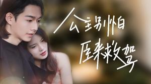 公主别怕,臣来救驾(90集) 公主别怕,臣来救驾(90集)剧情简介