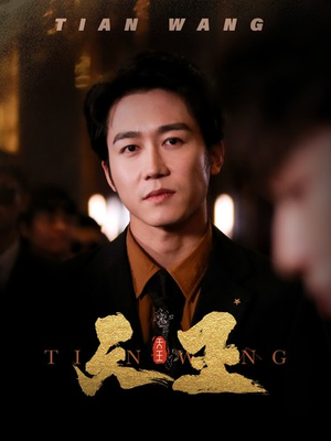 5天王（100集）高清画质免费看