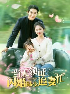 当天领证闪婚陆少追妻忙(80集) 当天领证闪婚陆少追妻忙(80集)全剧免费观看