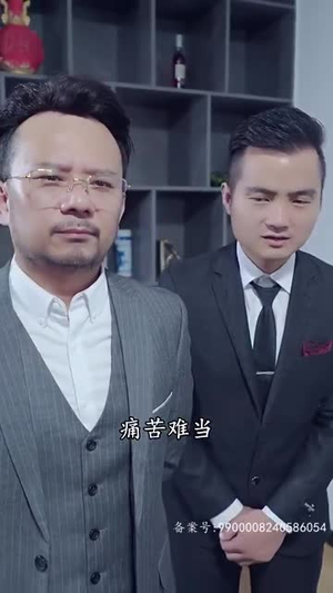 魂穿霸婿（80集）短剧热播中