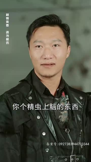 追龙之罪与罚（100集）UC网盘在线看