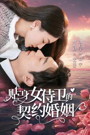 贴身女侍卫的契约婚姻（91集）一口气看完