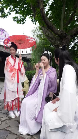 哎呀，我被公主包围了（88集）红果短剧免费看