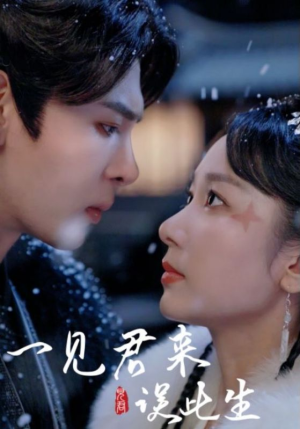 一见君来误此生（95集）免费短剧片段