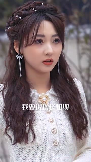 回家过年（74集）热播短剧重燃