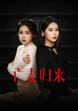 亡妻归来（85集）全集我都看完了