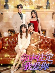 命中注定我爱你（99集）男主角是谁