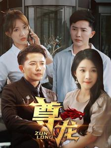 新版：尊龙（97集）精彩短剧来袭