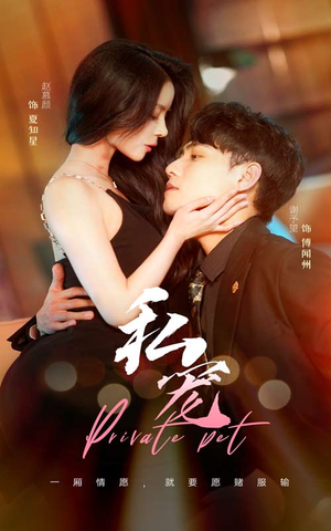 私宠（94集）短剧排行榜