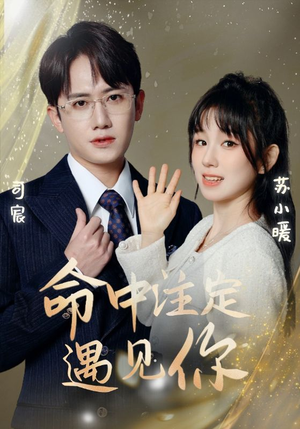 命中注定遇见你(96集) 命中注定遇见你(96集)最火爆的短剧