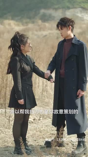 悬崖上的黑玫瑰(101集) 悬崖上的黑玫瑰(101集)在线看免费版