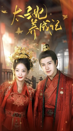 太子妃养成记（97集）火爆短剧来袭