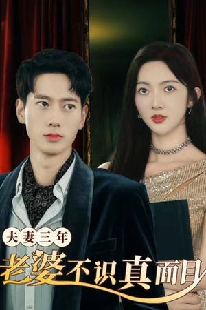 夫妻三年老婆不识真面目（83集）热门短剧看不停
