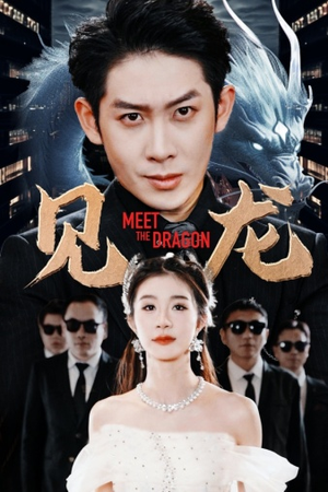 见龙(78集) 见龙(78集)真的太精彩了